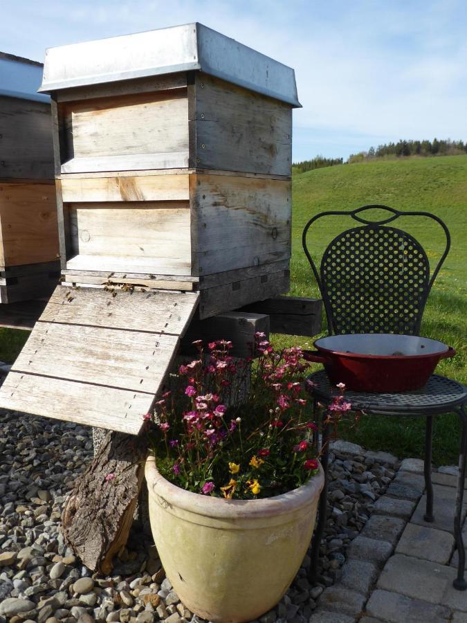 Erholungsraum Karsee - Ferienwohnung Wangen im Allgäu Zewnętrze zdjęcie